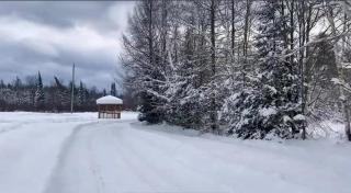 Peaceful and Heavenly Private Water Front Cottage on 100 Acres of Scenic Beauty- Trent Lakes - - 1