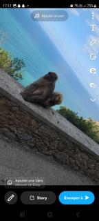Jijel sidi abdelaziz - - 6