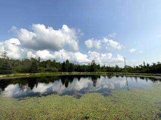 Peaceful and Heavenly Private Water Front Cottage on 100 Acres of Scenic Beauty- Trent Lakes - - 5