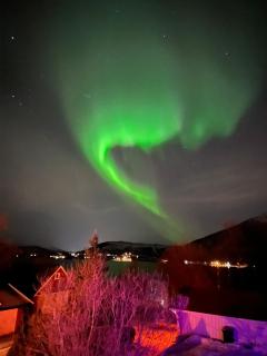 Evenes Artic glamping - 1