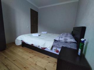 Kamara Apartment - Kazbegi - 5