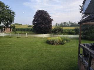 Cottage on the Pond - Millbrook - 8