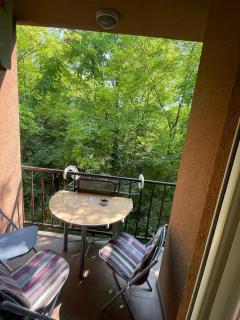 Apartman Anika - Soko Banja - 8