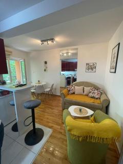 Apartman Anika - Soko Banja - 6
