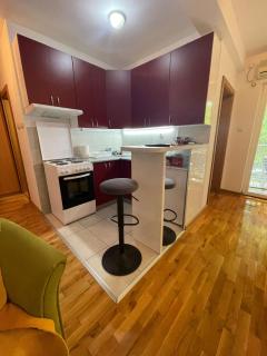 Apartman Anika - Soko Banja - 4