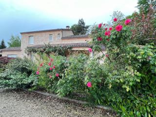 Piscine, verdure et tranquillité vive la campagne! - - 8