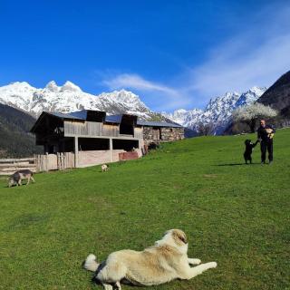 Tebdi Qor, Warm Home - 3