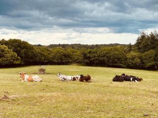 Escapade dans un Ranch - Le Sourn - 5