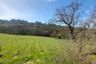 Bel appartement domaine viticole - Brignoles - 7