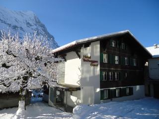 Tschuggen Apartment - No Kitchen - Grindelwald - 9