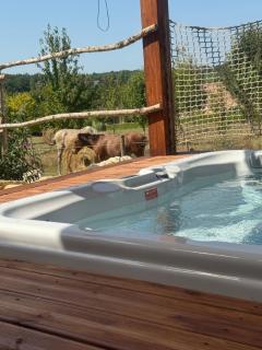 ÔTroisChênes - Gîte au calme avec spa privatif - - 4