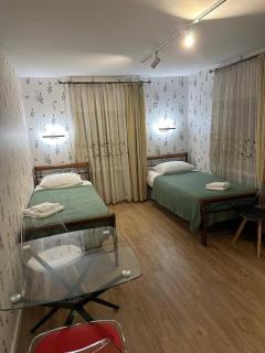Marjanishvili wings apartment - Tbilisi - 7
