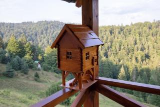 Brvnara Tarski pogled - Bajina Bašta - 9