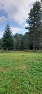 Holiday Home Krejović - Žabljak - 6