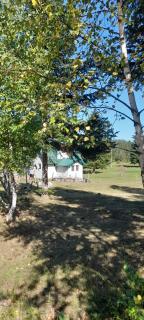 Holiday Home Krejović - Žabljak - 7