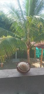 OCEANSURF hotel - Mompiche - 4