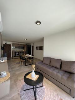 Depto "Ideal" Céntrico, Pile Int y Pile en Terraza, Cochera, Aire Ac - 9