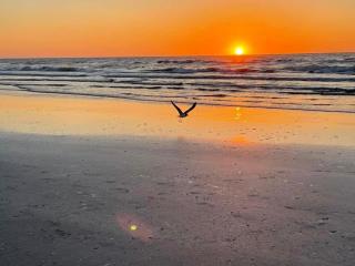 Beach Glass - Island Getaway - Corpus Christi - 6