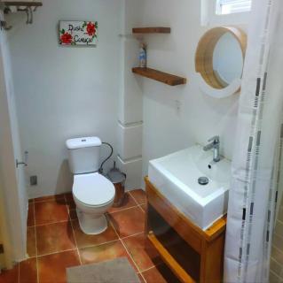 Cozy apartment - Willemstad - 5