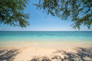 Wilson's Retreat - Gili Trawangan - 9