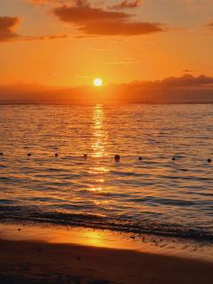 Sunsetview Beach Apartment - Palmyre - 0