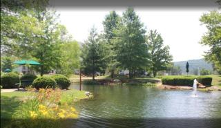 Diamond - The Suites at Fall Creek - 1BD - Branson - 1