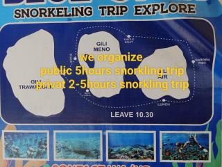 Ping Pong homestay Gili Trawangan - Gili Trawangan - 7