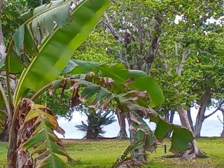 Surf 1 and Surf 2 - 6