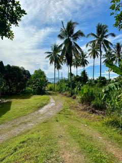 Kampung B&B Homestay - Kampong Pepedonkiang - 4