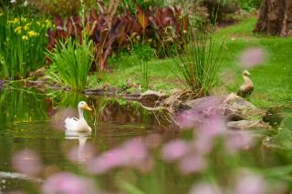 Holberry House - Nannup - 8