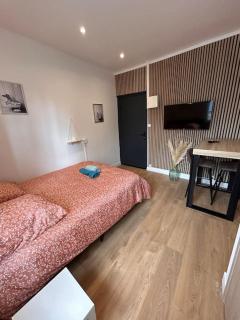 Le Nid Tranquille de Nancy - Nancy - 8