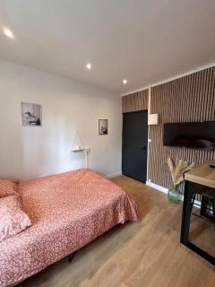 Le Nid Tranquille de Nancy - Nancy - 7