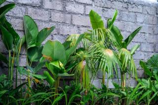 SooBali Mint Cottage Sanur 1BR - Sanur - 8