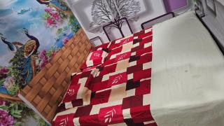 Vrindavan Nivas -Near Prem mandir bankey bihari - 6