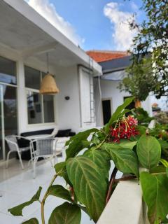 Capricorn Villa - Seminyak - 7