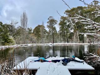 Snowgums Mountain Retreat - Yaouk - 1