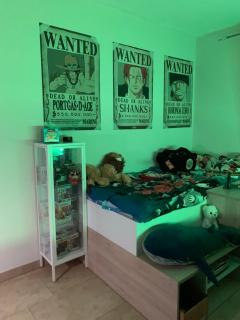 Maison familiale en OCCITANIE - 8