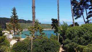 Algarrobo Apartment - 4