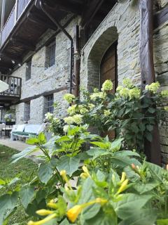 Il Meriggio - Rooms & Breakfast - Mezzenile - 6