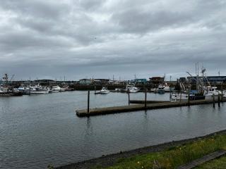 Westport Marina Cottages - Westport - 4