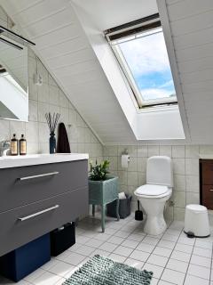 Nydelig leilighet i Bakklandet - 5