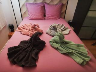 Appartement chaleureux proche Disney 44m2 pour 4 pers classé 3 étoiles - Torcy - 3