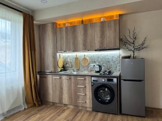 AVIATOR Apartments in Bakuriani - Bakuriani - 4
