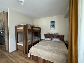 AVIATOR Apartments in Bakuriani - Bakuriani - 5