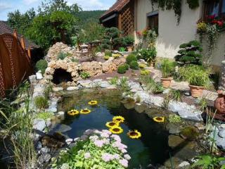 Ferienwohnung Wassergartenparadies - Harsdorf - 9