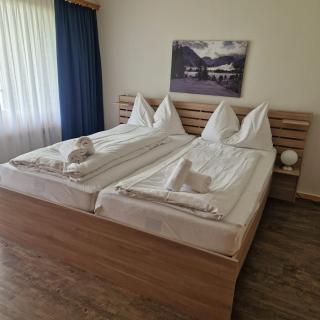 I dr Rehwiesa B02 - Arosa - 8