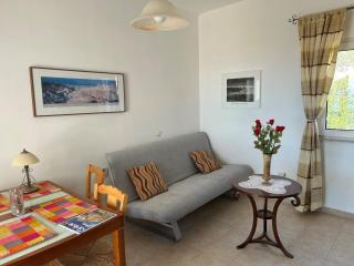 Villa Mimosa Aegean view apartment - Ano Syros - 6