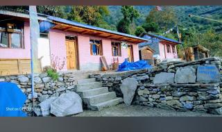 Red Panda Homestsy - 4