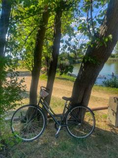 Jelenina kuća za odmor-holiday house - 4