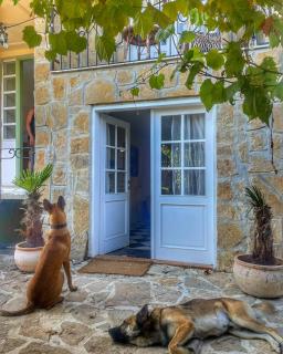 Jelenina kuća za odmor-holiday house - 2